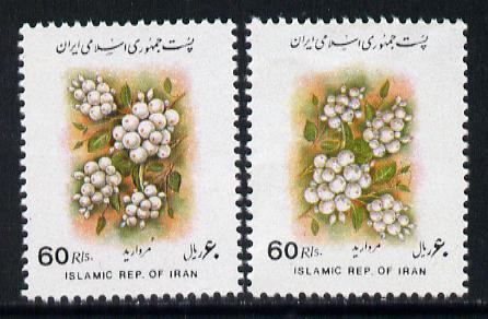 Iran 1993 Viburum Berries 60r definitive with frame (Country, inscription & value) inverted, plus normal, both unmounted mint, SG 2741var, stamps on , stamps on  stamps on flowers     fruit