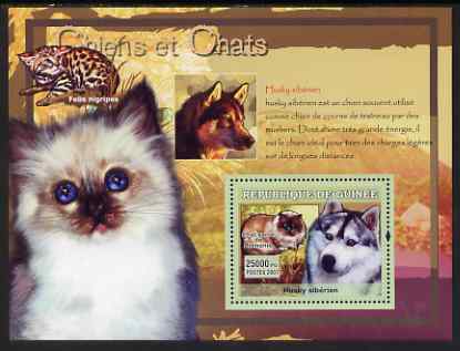 Guinea - Conakry 2007 Cats & Dogs perf souvenir sheet #3 unmounted mint Yv 530, stamps on , stamps on  stamps on cats, stamps on  stamps on dogs, stamps on  stamps on husky