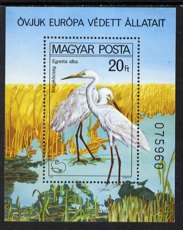 Hungary 1980 Protected Birds perf m/sheet (Egrets) unmounted mint, SG MS 3346, Mi BL 146 , stamps on , stamps on  stamps on birds, stamps on  stamps on heron