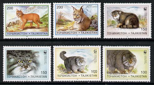 Tadjikistan 1996 WWF - Cats complete set of 6 values, stamps on , stamps on  stamps on wwf, stamps on  stamps on cats, stamps on  stamps on  wwf , stamps on  stamps on 