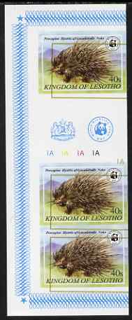 Lesotho 198 1WWF - Cape Porcupine 40s IMPERF inter-paneau strip of 3 with misplaced gold, unmounted mint, stamps on animals, stamps on  wwf , stamps on porcupines