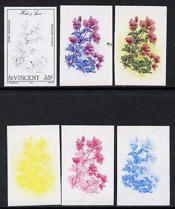 St Vincent 1985 Herbs & Spices 35c (Sweet Marjoram) set of 6 imperf progressive proofs comprising the 4 individual colours plus 2 & 3 colour composites (as SG 869), stamps on flowers    food      herbs & spices
