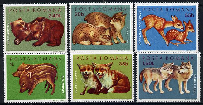 Rumania 1972 Young Wild Animals set of 6 unmounted mint, SG 3885-90, Mi 3005-10*, stamps on , stamps on  stamps on animals, stamps on  stamps on cats, stamps on  stamps on lynx, stamps on  stamps on fox, stamps on  stamps on deer, stamps on  stamps on pigs , stamps on  stamps on wolfs, stamps on  stamps on bears, stamps on  stamps on  fox , stamps on  stamps on foxes, stamps on  stamps on  