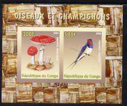 Congo 2008 Birds & Mushrooms #2 imperf sheetlet containing 2 values unmounted mint, stamps on , stamps on  stamps on birds, stamps on  stamps on fungi