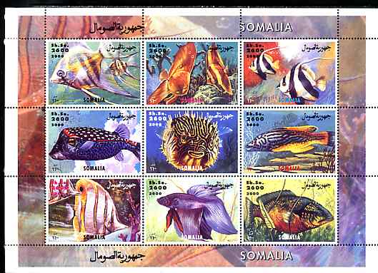 Somalia 2000 Exotic Fish #2 perf sheetlet containing set of 9 values unmounted mint. Note this item is privately produced and is offered purely on its thematic appeal, stamps on , stamps on  stamps on fish