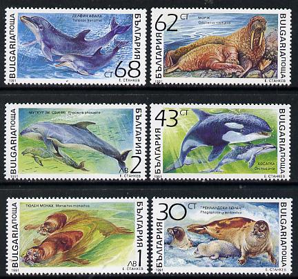 Bulgaria 1991 Marine Mammals set of 6, SG 3814-19 (Mi 3959-64 unmounted mint, stamps on , stamps on  stamps on animals  marine-life   mammals   whales