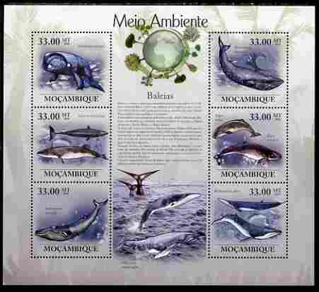 Mozambique 2010 The Environment - Whales large perf sheetlet containing 6 vaues unmounted mint Michel 3614-19, stamps on , stamps on  stamps on animals, stamps on  stamps on mammals, stamps on  stamps on whales, stamps on  stamps on marine life, stamps on  stamps on environment, stamps on  stamps on 