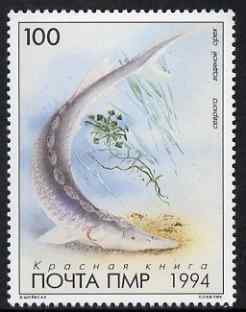 Dnister Moldavian Republic (NMP) 1994 Sturgeon 100L unmounted mint, stamps on , stamps on  stamps on fish