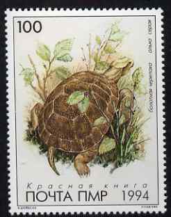 Dnister Moldavian Republic (NMP) 1994 Tortoise 100L unmounted mint, stamps on , stamps on  stamps on animals, stamps on  stamps on tortoises, stamps on  stamps on turtles