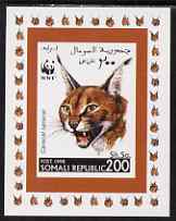 Somalia 1998 WWF - Caracal Lynx 200sh imperf individual de-luxe sheetlet, unmounted mint. Note this item is privately produced and is offered purely on its thematic appeal, stamps on , stamps on  stamps on animals, stamps on  stamps on cats, stamps on  stamps on  wwf , stamps on  stamps on 