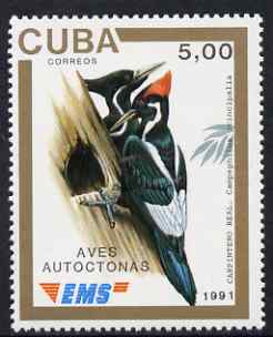 Cuba 1991 Express Mail Stamp - 5p Ivory-Billed Woodpecker unmounted mint SG E3642, stamps on , stamps on  stamps on birds, stamps on  stamps on woodpeckers