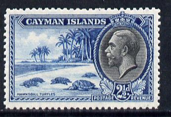 Cayman Islands 1935 Hawksbill Turtles KG5 2.5d unmounted mint SG 101, stamps on animals, stamps on  kg5 , stamps on reptiles, stamps on turtles