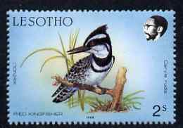 Lesotho 1988 Birds 2s Pied Kingfisher unmounted mint, SG 791*, stamps on birds, stamps on kingfishers