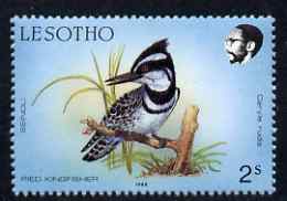 Lesotho 1988 Birds 2s Pied Kingfisher unmounted mint, SG 791*, stamps on , stamps on  stamps on birds, stamps on  stamps on kingfishers