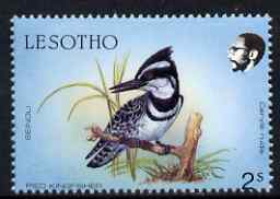 Lesotho 1988 Birds 2s Pied Kingfisher with slight perf shift such that horiz perfs pass through the date, unmounted mint, as SG 791*, stamps on birds, stamps on kingfishers