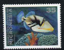 Micronesia 1993-96 Picasso Triggerfish 35c unmounted mint, SG 284, stamps on fish