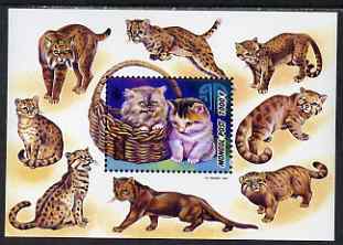 Mongolia 1998 Domestic Cats perf m/sheet unmounted mint SG MS 2666, stamps on cats