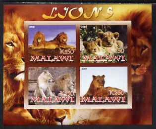 Malawi 2008 Lions imperf sheetlet containing 4 values unmounted mint, stamps on cats, stamps on lions