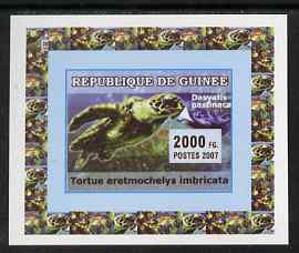 Guinea - Conakry 2007 Turtles & Fish individual imperf deluxe sheet #1, unmounted mint. Note this item is privately produced and is offered purely on its thematic appeal ..., stamps on turtles, stamps on fish