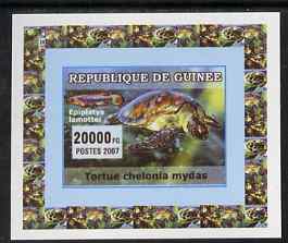 Guinea - Conakry 2007 Turtles & Fish individual imperf deluxe sheet #3, unmounted mint. Note this item is privately produced and is offered purely on its thematic appeal ..., stamps on turtles, stamps on fish