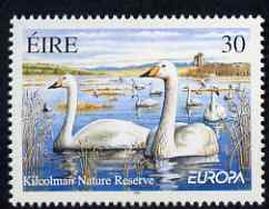 Ireland 1999 Swans at Kilcolman Nature Reserve 30p unmounted mint, SG 1228, stamps on birds, stamps on swans
