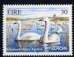 Ireland 1999 Swans at Kilcolman Nature Reserve 30p unmounted mint, SG 1228, stamps on , stamps on  stamps on birds, stamps on  stamps on swans