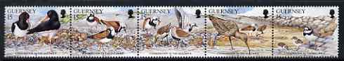 Guernsey 1991 Nature Conservation se-tenant strip of 5 Birds unmounted mint, SG 530a, stamps on , stamps on  stamps on birds, stamps on  stamps on marine life, stamps on  stamps on shells, stamps on  stamps on 