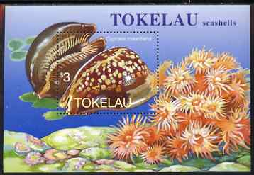 Tokelau 1996 Sea Shells Humpback Cowrie m/sheet unmounted mint, SG MS254, stamps on marine life, stamps on shells