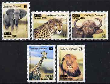 Cuba 2005 National Zoo perf set of 5 unmounted mint SG 4856-60, stamps on , stamps on  stamps on animals, stamps on  stamps on zoos, stamps on  stamps on cats, stamps on  stamps on elephants, stamps on  stamps on lions, stamps on  stamps on buffalos, stamps on  stamps on bovine, stamps on  stamps on giraffes