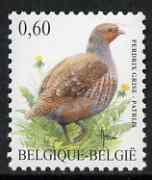 Belgium 2002-09 Birds #5 Partridge 0.60 Euro unmounted mint, SG 3702a, stamps on , stamps on  stamps on birds, stamps on  stamps on game