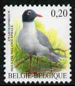 Belgium 2002-09 Birds #5 Mediterranean Gull 0.20 Euro unmounted mint, SG 3697, stamps on , stamps on  stamps on birds    