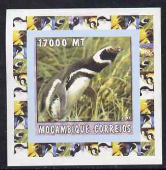 Mozambique 2002 Penguins #6 individual imperf deluxe sheet unmounted mint. Note this item is privately produced and is offered purely on its thematic appeal, stamps on , stamps on  stamps on penguins, stamps on  stamps on birds