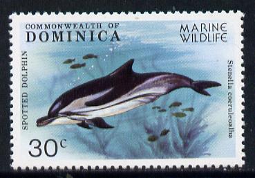 Dominica 1979 Striped Dolphin 30c unmounted mint (incorrectly described as spotted Dolphin) from Marine Wildlife set of 6, SG 661, stamps on whales, stamps on dolphins