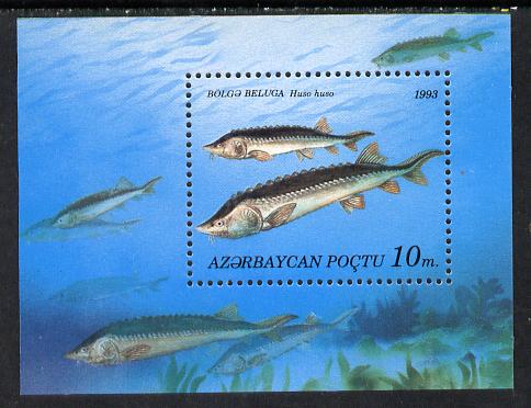 Azerbaijan 1993 Fish m/sheet unmounted mint, stamps on , stamps on  stamps on fish     marine-life