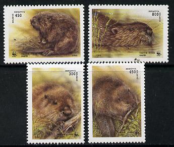 Belarus 1995 WWF (Beavers) set of 4 unmounted mint, SG 119-22*, stamps on , stamps on  stamps on animals   wwf, stamps on  stamps on  wwf , stamps on  stamps on 