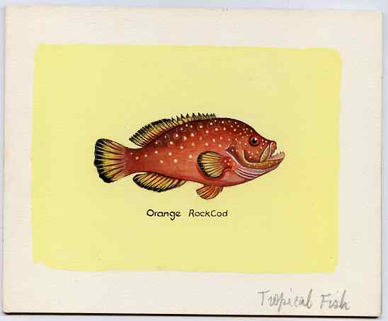 Eynhallow 1981 Fish #01 (Rock Cod) original artwork by Sharon File of the B L Kearley Studio, watercolour on board 140 x 115 mm plus issued perf sheetlet incorporating th..., stamps on fish