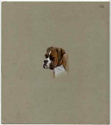 Dhufar 1984 Rotary - Dogs (Boxer) original artwork by George Woodford of the B L Kearley Studio, watercolour on board 200 x 230 mm plus issued perf sheetlet incorporating..., stamps on dogs, stamps on rotary, stamps on boxer