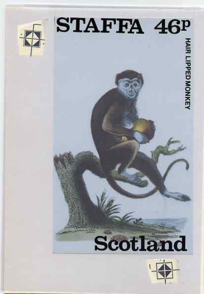 Staffa 1983 Primates (Hair Lipped Monkey) original composite artwork believed to be from the B L Kearley Studio, comprising a coloured photograph mounted on board 120 x 1..., stamps on animals, stamps on apes
