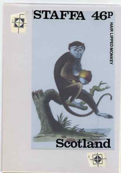 Staffa 1983 Primates (Hair Lipped Monkey) original composite artwork believed to be from the B L Kearley Studio, comprising a coloured photograph mounted on board 120 x 170 mm with overlay, plus issued 46p perf label incorporating this image, stamps on , stamps on  stamps on animals, stamps on  stamps on apes