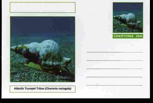 Chartonia (Fantasy) Shells - Atlantic Trumpet Triton (Charonia variegata) postal stationery card unused and fine, stamps on , stamps on  stamps on marine life, stamps on  stamps on shells