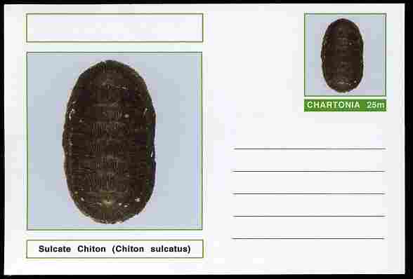 Chartonia (Fantasy) Shells - Sulcate Chiton (Chiton sulcatus) postal stationery card unused and fine, stamps on marine life, stamps on shells