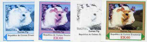 Equatorial Guinea 1977 European Animals EK60 (Guinea Pig) set of 4 imperf progressive proofs on ungummed paper comprising 1, 2, 3 and all 4 colours (as Mi 1143), stamps on animals    