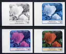 Equatorial Guinea 1976 Roses EK60 (Duke of Windsor) set of 4 imperf progressive proofs on ungummed paper comprising 1, 2, 3 and all 4 colours (as Mi 978) , stamps on flowers    roses