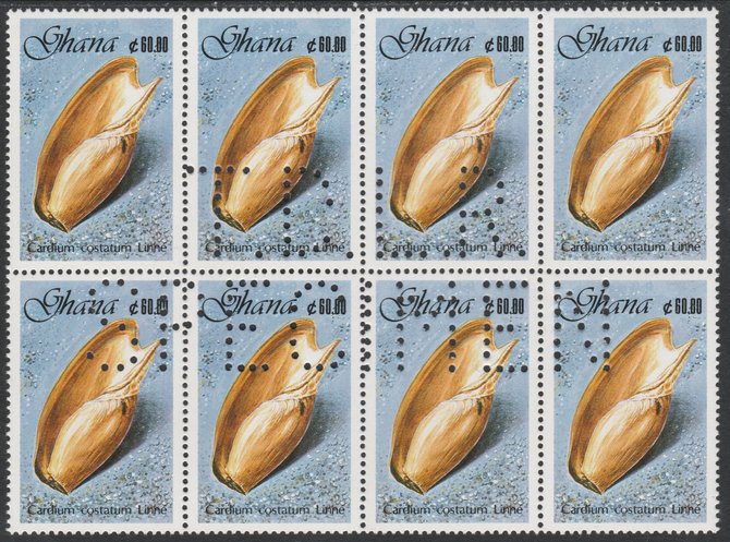 Ghana 1990 Seashells 60c Elephants Snout, superb block of 8 showing the full perfin T.D.L.R. SPECIMEN (ex De La Rue archive sheet) rare, unusual and unmounted mint as SG ..., stamps on shells, stamps on marine life