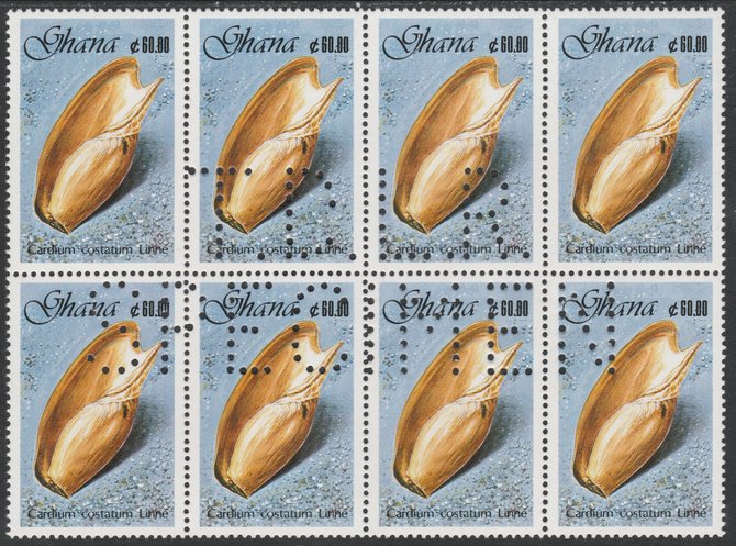 Ghana 1990 Seashells 60c Elephant's Snout, superb block of 8 showing the full perfin 'T.D.L.R. SPECIMEN' (ex De La Rue archive sheet) rare, unusual and unmounted mint as SG 1418, stamps on , stamps on  stamps on shells, stamps on marine life