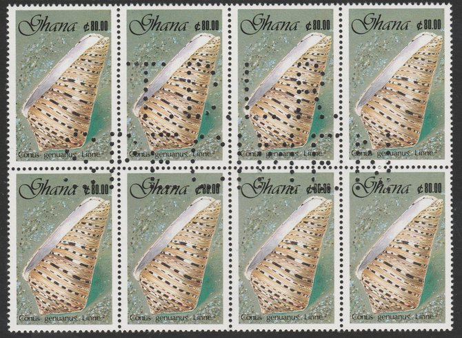 Ghana 1990 Seashells 80c Garter Cone, superb block of 8 showing the full perfin 'T.D.L.R. SPECIMEN' (ex De La Rue archive sheet) rare, unusual and unmounted mint as SG 1419, stamps on , stamps on  stamps on shells, stamps on marine life