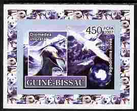 Guinea - Bissau 2007 International Polar Year - Birds #3 imperf individual deluxe sheet unmounted mint. Note this item is privately produced and is offered purely on its thematic appeal, stamps on polar, stamps on birds, stamps on 