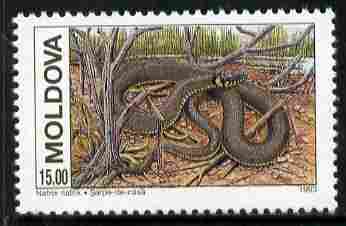 Moldova 1993 WWF - Grass Snake 15r unmounted mint SG 61, stamps on reptiles, stamps on snakes
