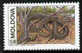 Moldova 1993 WWF - Grass Snake 15r unmounted mint SG 61, stamps on , stamps on  stamps on reptiles, stamps on  stamps on snakes