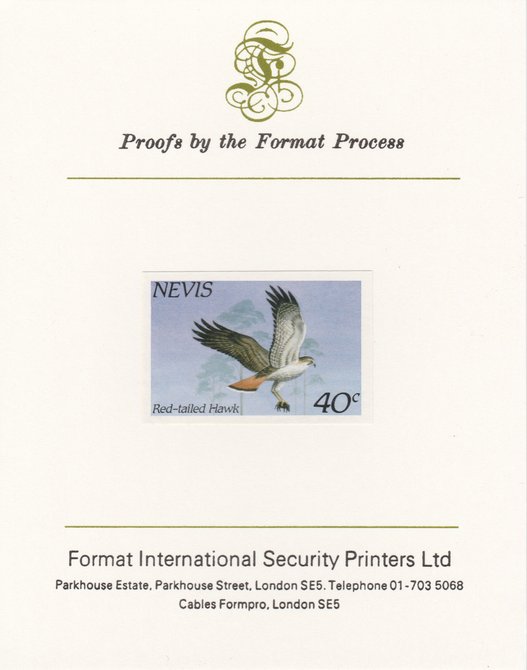 Nevis 1985 Hawks & Herons 40c (Red Tailed Hawk) imperf proof mounted on Format International proof card, as SG 266, stamps on birds, stamps on birds of prey, stamps on heron